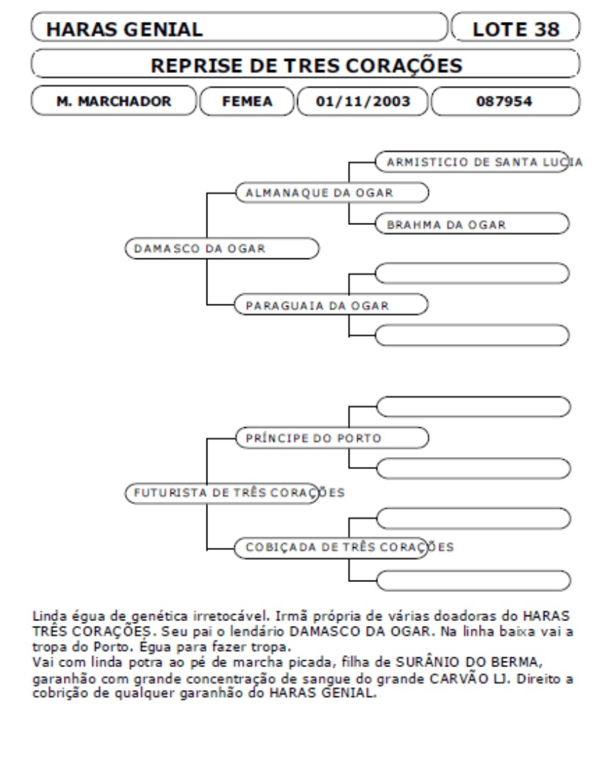 Genealogia